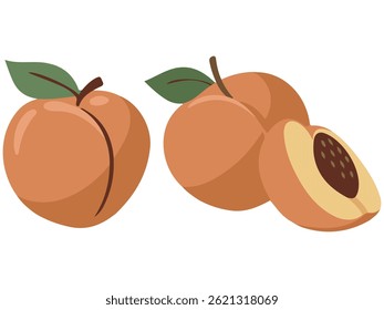 heart shaped pink peach sweet fruit isolated vector illustration on white background
