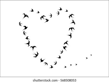 the heart shaped silhouettes of birds vector image