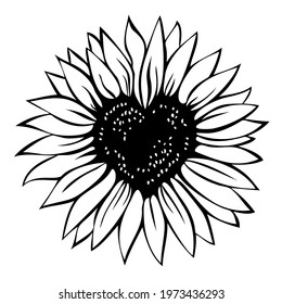 Heart shaped sunflower, vector illustration isolated on white background