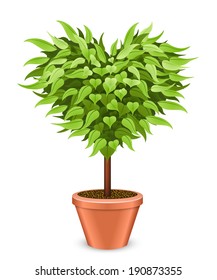Árbol con forma de corazón en la olla aislado en fondo blanco.