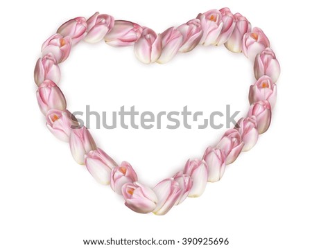 Heart shaped tulip frame with pink spring flowers isolated on white background for seasonal adverisment concepts. EPS 10 vector file included