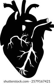 Heart silhouette. Human body organ illustration.