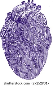 heart, sketch