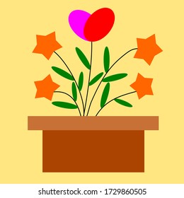Heart and star flower in pot on yellow background