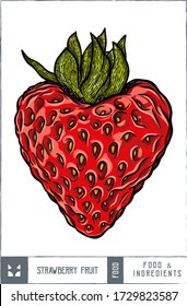 Heart Strawberry fruit Vector illustration - Hand drawn
