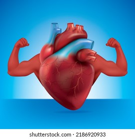 Heart With Strong Arms.Strong Healthy Human Heart Powerful With Arms Showing Strong Muscles In A Realistic 3D Vector Style. Exercises And Eat Healthy Food. Medical Check Up Health Concept. 