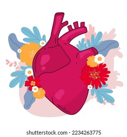 Diseño vectorial cardíaco. Fotos de anatomía realistas. Órganos internos del cuerpo humano,