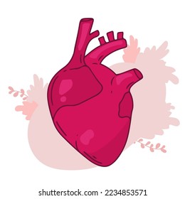 Diseño vectorial cardíaco. Fotos de anatomía realistas. Órganos internos del cuerpo humano.
