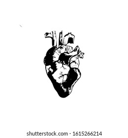 Heart vector. Human anatomy symbol. Health sign. Logo design element