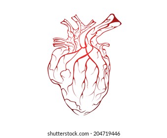 heart. Vector illustration. 