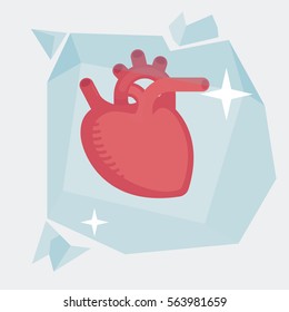Heart vector illustration