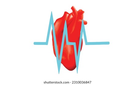 Heart wave graph vector illustration  on white background.
