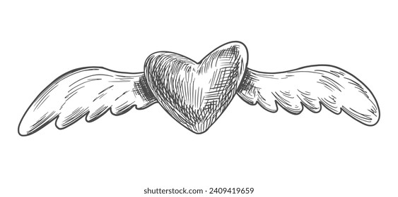 Heart with wings. Sketch style heart. Black and white illustration for Valentines day. Symbol of love