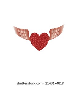 heart with wings, vector illustration of love