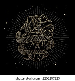 The heart wrapped by the golden magical snake