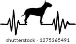 Heartbeat frequency with Bull terrier dog silhouette