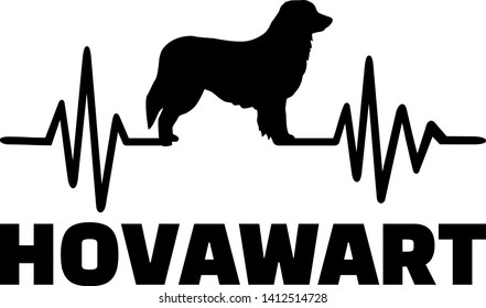 Heartbeat frequency with Hovawart dog silhouette