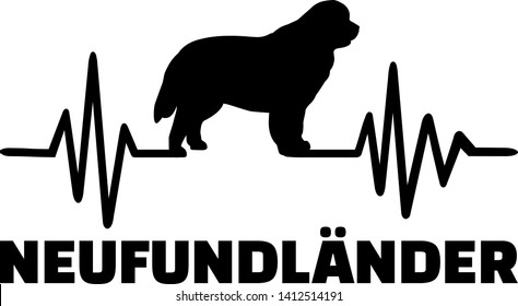 Heartbeat frequency with Newfoundland dog german