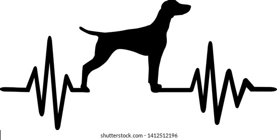 Heartbeat frequency with Vizsla dog silhouette