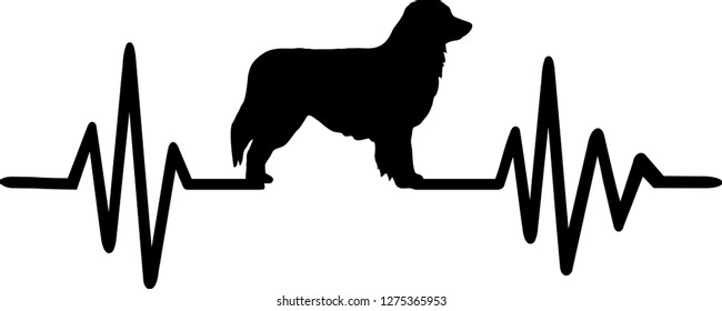 Heartbeat pulse line with Australian Shepherd dog silhouette 
