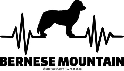 Heartbeat pulse line with Bernese Mountain dog silhouette 