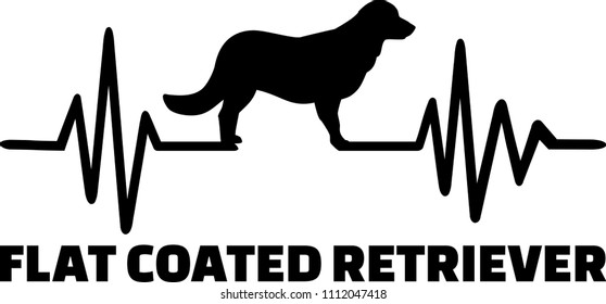 Heartbeat pulse line with Flat Coated Retriever dog silhouette