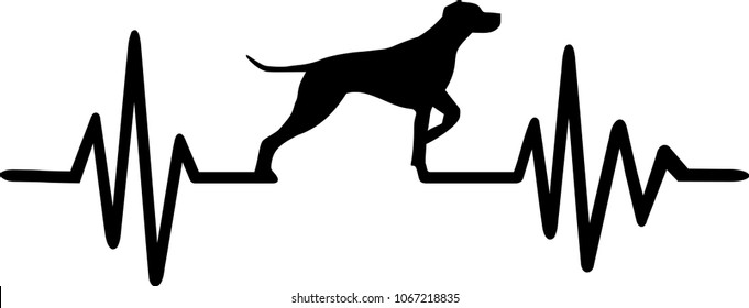 1000 German Shorthaired Pointer Silhouette Stock Images Photos