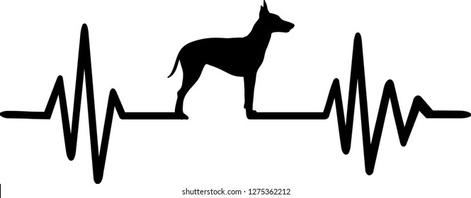 Heartbeat pulse line with Manchester Terrier dog silhouette