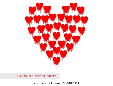 Heartbleed openssl bug vector shape