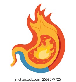 Heartburn Concept - Human Stomach on Fire - Cut View Vector Illustration