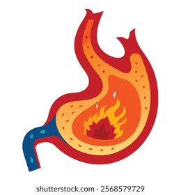 Heartburn Concept - Human Stomach on Fire - Cut View Vector Illustration