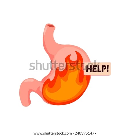 Heartburn. Transverse section of the stomach with flames. Pyrosis, cardialgia or acid indigestion. burning sensation in the stomach. Vector illustration