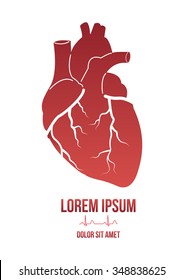 Hearth design concept with lorem ipsum dummy text under it and human heart cardiogram. Can be used by clinics for logos, business identity, print products, page and web decor or other design.