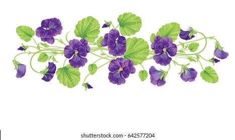 heartsease with leave, water drops and flowers. Vector realistic illustration. On white background. Design for grocery, farmers market, tea, natural cosmetics, summer garden design element.