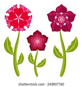 heart-shape flowers