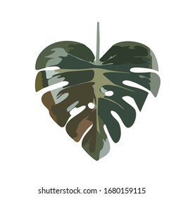 A heart-shaped tropical leaf. Vector