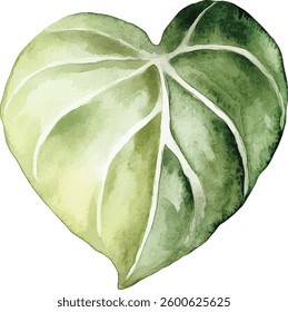 Heart-Shaped Watercolor Leaf - Green Botanical  vector illustration