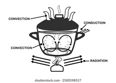 Heat transfer. Convection currents labeled diagram. Warm and cool molecules energy movement cycle scheme. Liquid substance convective heat transfer. Boiling water in pot.Scientific inforgrahpic.Vector