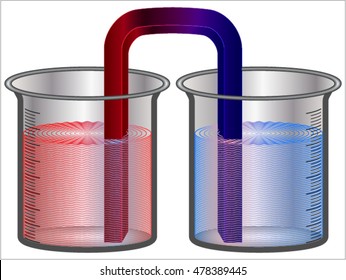 Heat transfer - the metal conducts heat from the cup of hot water to the cup of cool water and vise verse