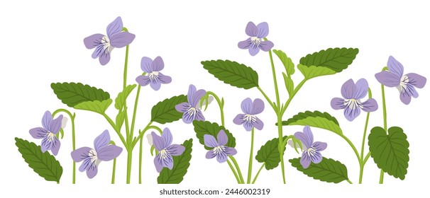 Heideviolett, Bratsche, Feldblumen, Vektorgrafik, die Wildpflanzen auf weißem Hintergrund zeichnet, ,Blumenelement, handgezeichnete botanische Illustration