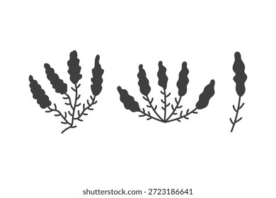 Heather Branches Botanical Illustration Set. Doodle wild plant elements drawn in ink style, hand drawn fantasy vector artwork for aesthetic natural decoration