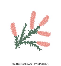 Heather Isolated Plant Vector Illustration