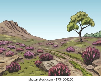 Heathland graphic color landscape sketch illustration vector
