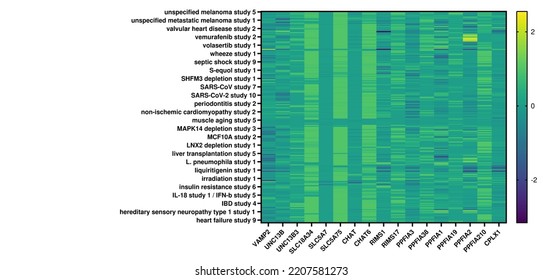 Heatmap Representing Gene Expression Data From Multiple MRNAseq Experiments.