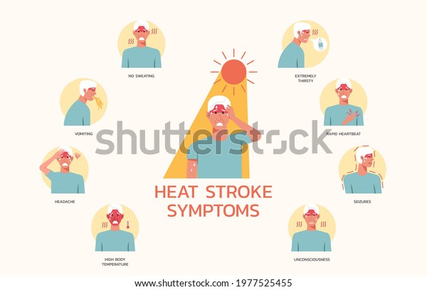 Heatstroke Symptoms Infographic Many Illness Conditions Stock Vector ...