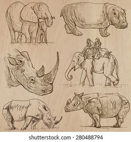 HEAVY ANIMALS (pack no.1) - Collection of an hand drawn vector illustrations. Each drawing comprise a few layers of lines, the colored background is isolated. Easy editable.