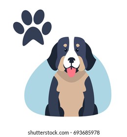 Heavy bernese mountain dog flat design on white background. Vector illustration of swiss highland and shepherd dogs. Blue paw print in upper corner of drawing image. Big hound shows pink tongue