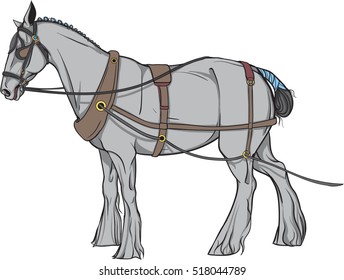 Heavy in harness. Pulled by horse. On a white background. Animal in the equipment.