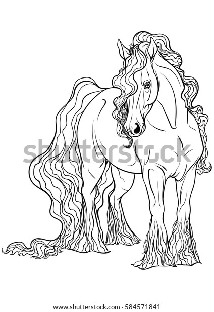 Heavy Horse Breed Coloring Page Horse Stock Vector Royalty Free 584571841