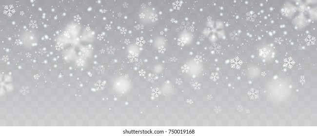 Heavy snowfall, snowflakes in different shapes, forms, vector illustration. Many white cold flake elements on transparent background.